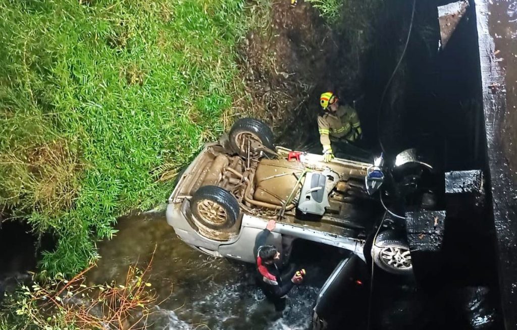 CONDUCTOR FALLECIÓ LUEGO DE QUE SU VEHÍCULO CAYERA A UN ESTERO EN LOS LAGOS