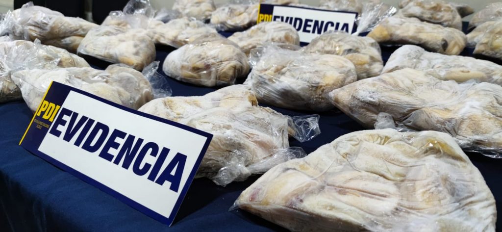 INCAUTAN MÁS DE 54 KILOS DE RECURSOS HIDROBIOLÓGICOS VEDADOS