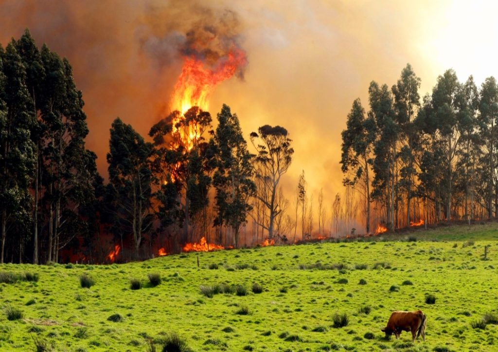 SAN PABLO YA ESTÁ PREPARADO PARA ENFRENTAR POSIBLES INCENDIOS FORESTALES