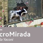 “MACROMIRADA” EL MUNDO DE LA ARTISTA MARCELA YACONI QUE LLEGA AL MOLINO MACHMAR