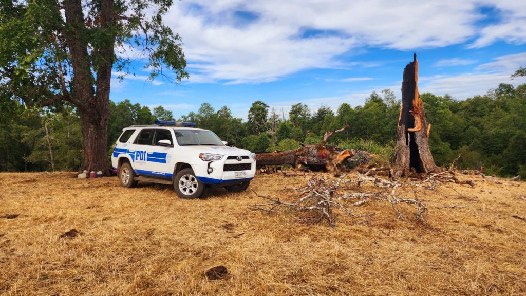 INDAGAN FALLECIMIENTO DE HOMBRE ADULTO MIENTRAS TALABA UN ÁRBOL EN PURRANQUE