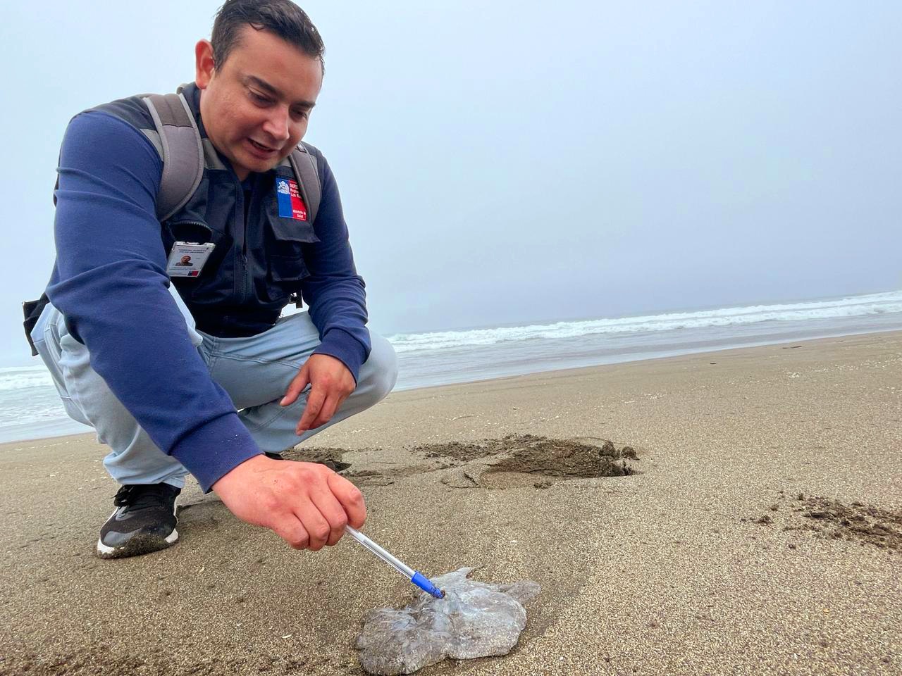 INFORMAM QUE NÃO HÁ PRESENÇA DE QUALQUER FRAGATA PORTUGUESA NA REGIÃO DA COSTA DOS RIOS – QUINTA DIMENSÃO