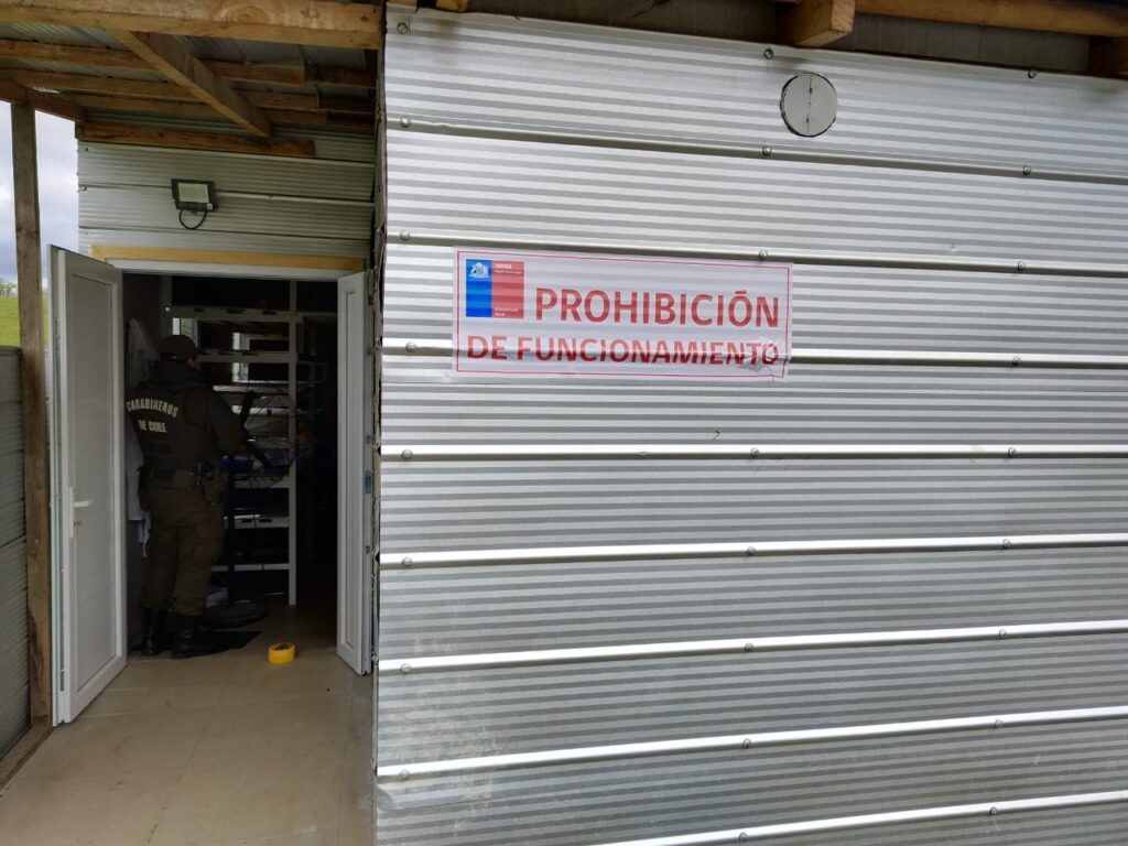 CLAUSURAN FÁBRICAS DE QUESO CLANDESTINAS EN PURRANQUE
