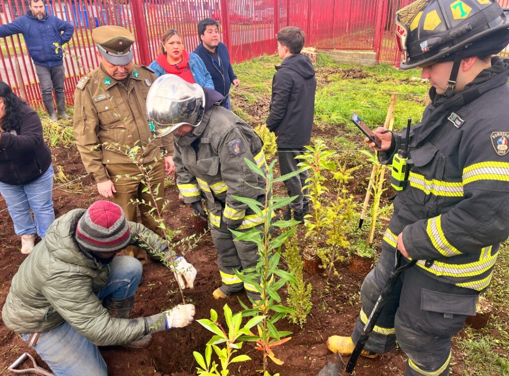 ESCUELA DEPORTIVA DE OSORNO AVANZA EN REFORESTACIÓN URBANA CON SEGUNDA ETAPA DE SU “BOSQUE DE BOLSILLO”