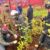ESCUELA DEPORTIVA DE OSORNO AVANZA EN REFORESTACIÓN URBANA CON SEGUNDA ETAPA DE SU “BOSQUE DE BOLSILLO”